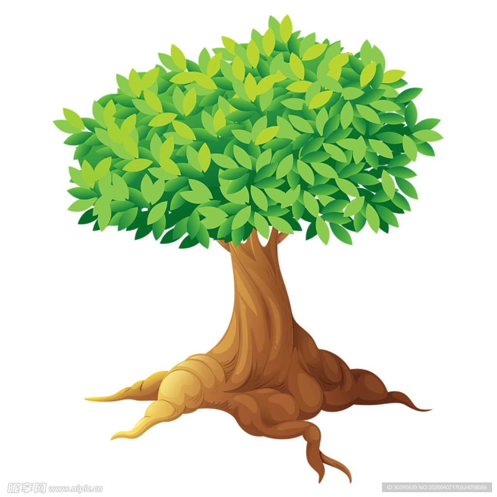 绿色植物