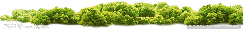 绿色植物