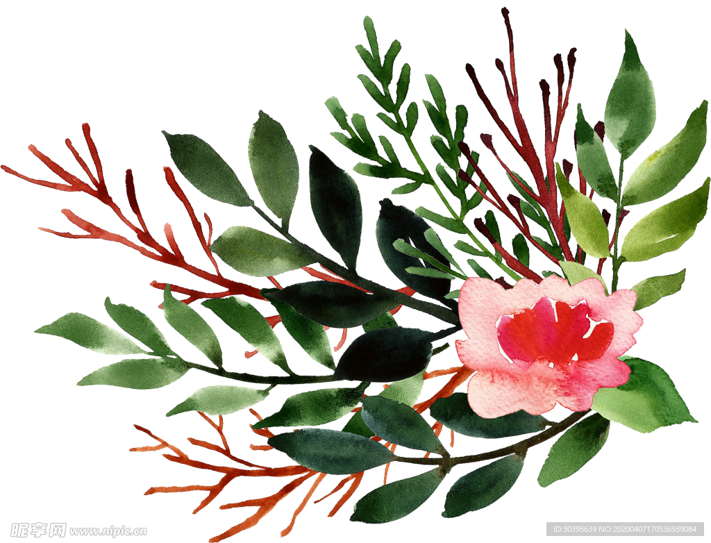 绿色植物
