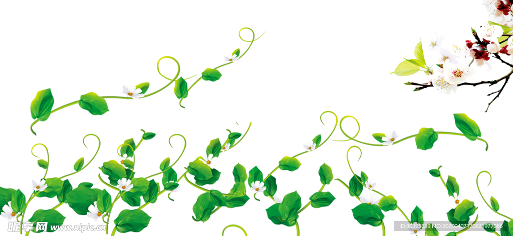 绿色植物