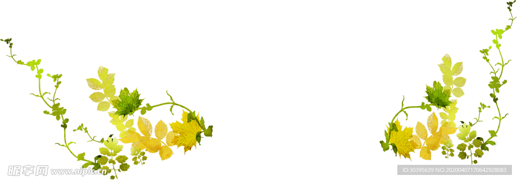 绿色植物