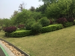 郊游