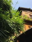 竹叶小楼