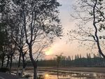 夕阳
