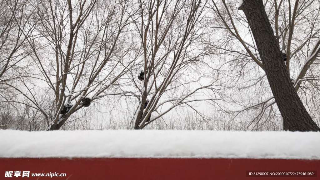 雪景