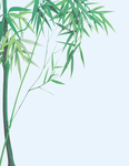 竹子