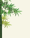 竹子