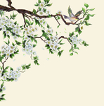 花鸟