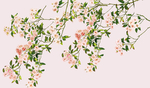 花鸟