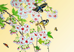 花鸟