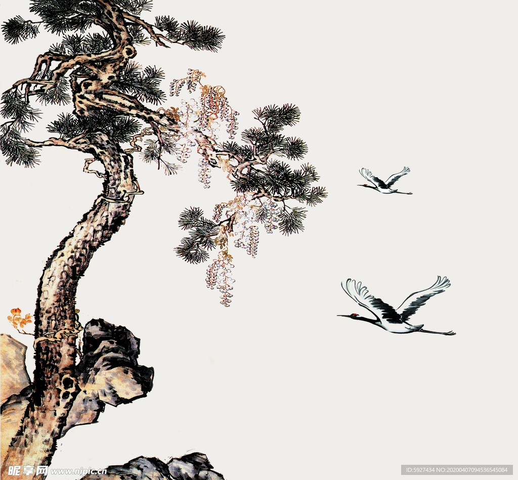 松树