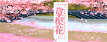 赏花广告