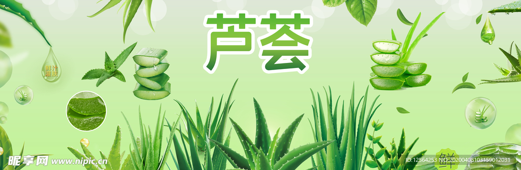 芦荟展板