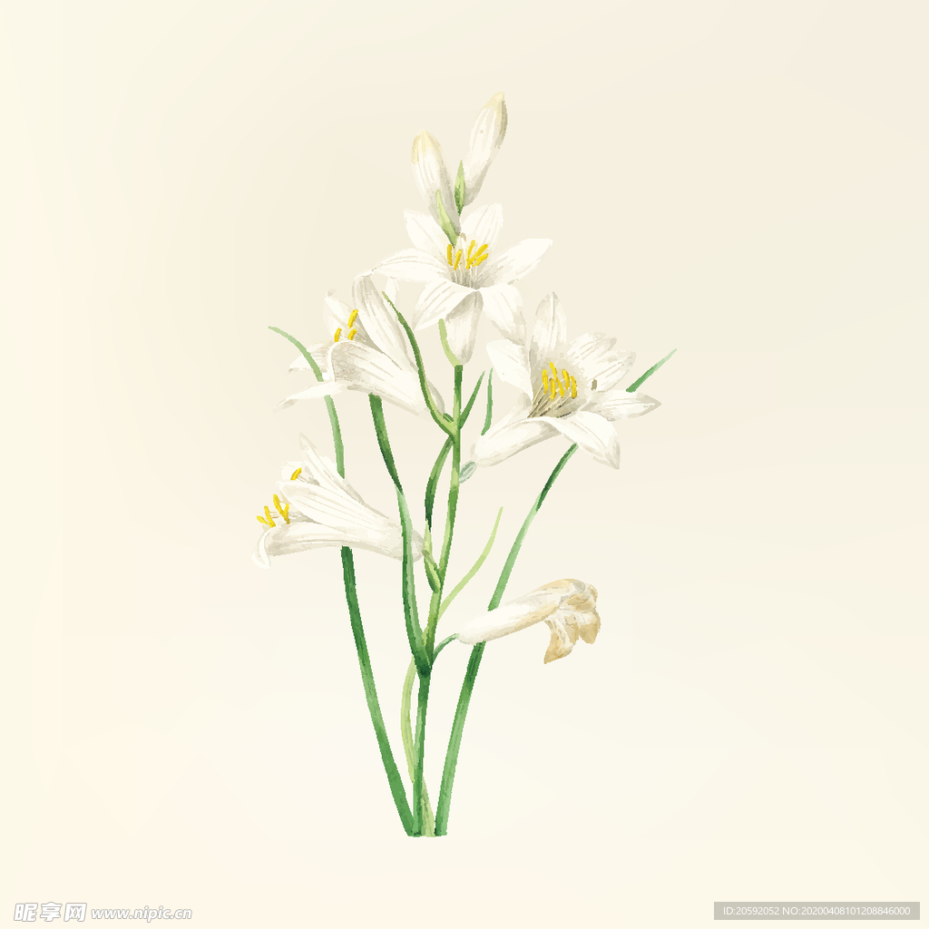 花纹