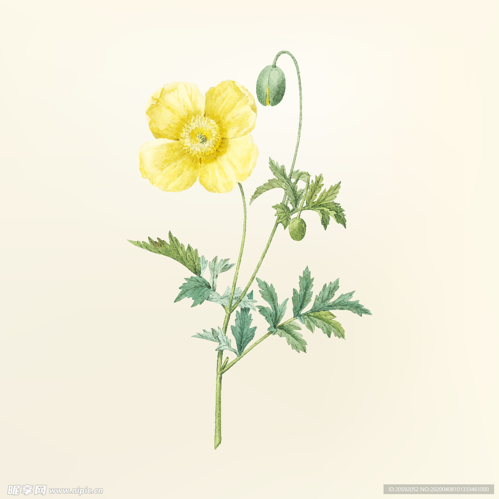 花纹