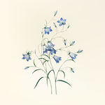 花纹