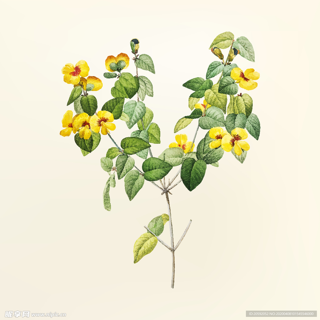 花纹