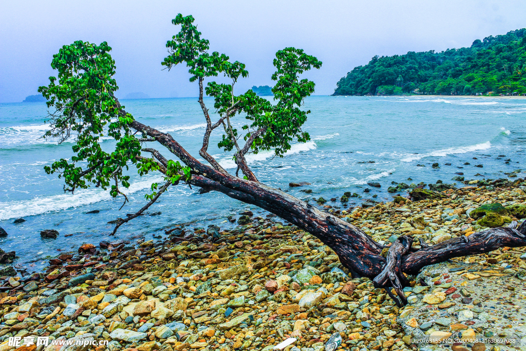 海边风景