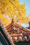 建筑一角