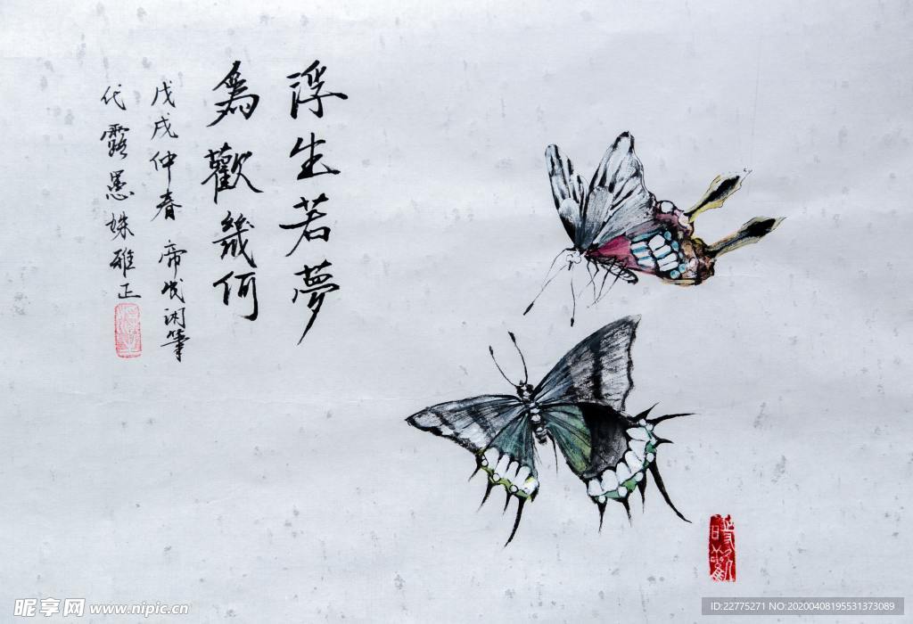 国画蝴蝶
