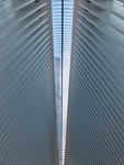 建筑房顶