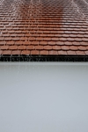 雨天的红色屋顶