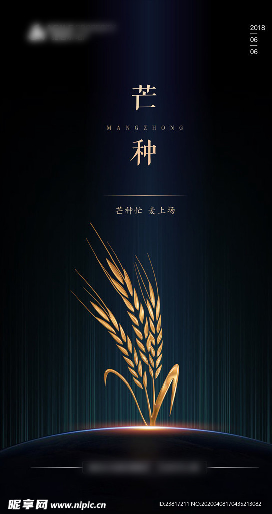芒种