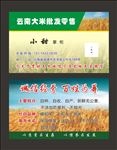 水稻名片