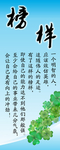 榜样