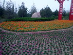 花圃