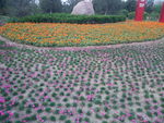花圃