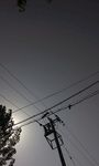 阴郁天空下的电线杆