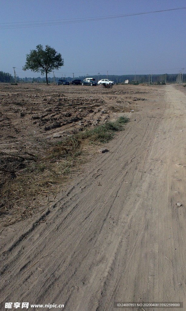 夏季的道路