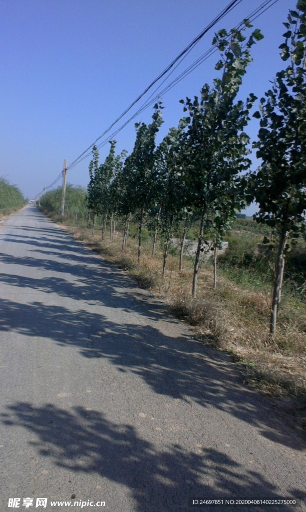 蓝天下的道路