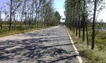 夏季的道路