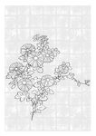 线描花朵