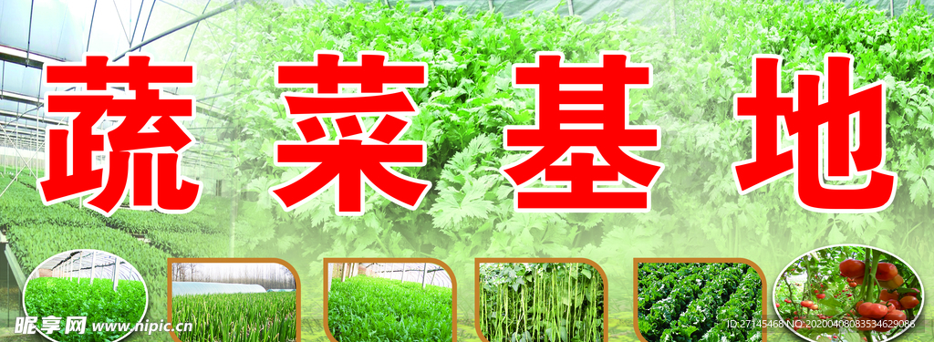 素菜种植