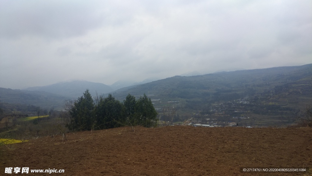 梯田 花草 树木 阴天 农村