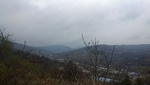 麦地 阴天 高山 山丘 草地