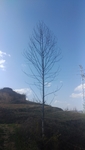 天空 蓝天白云