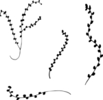 花纹