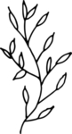 花纹