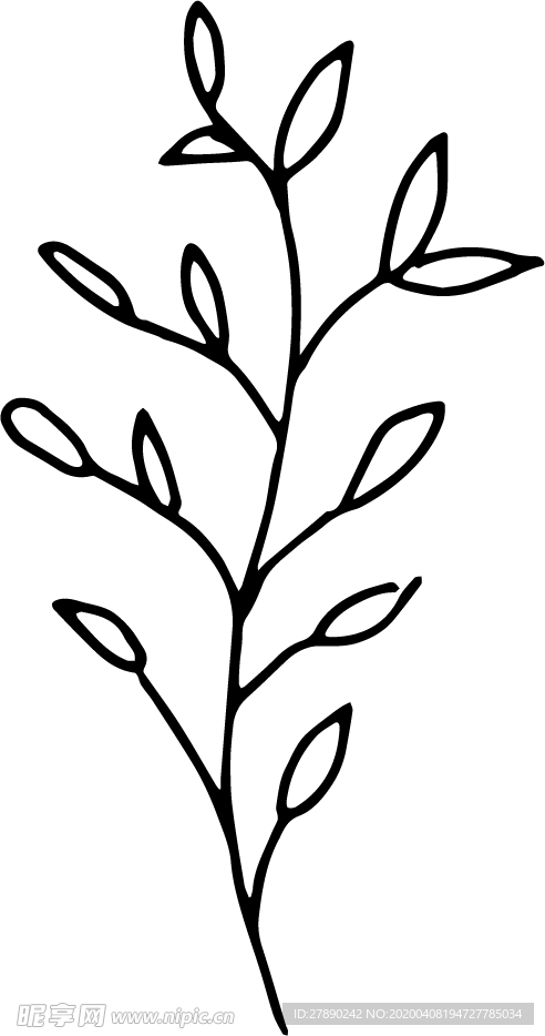 花纹