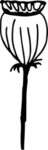 花纹