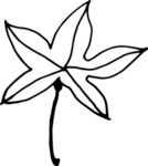 花纹