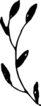 花纹