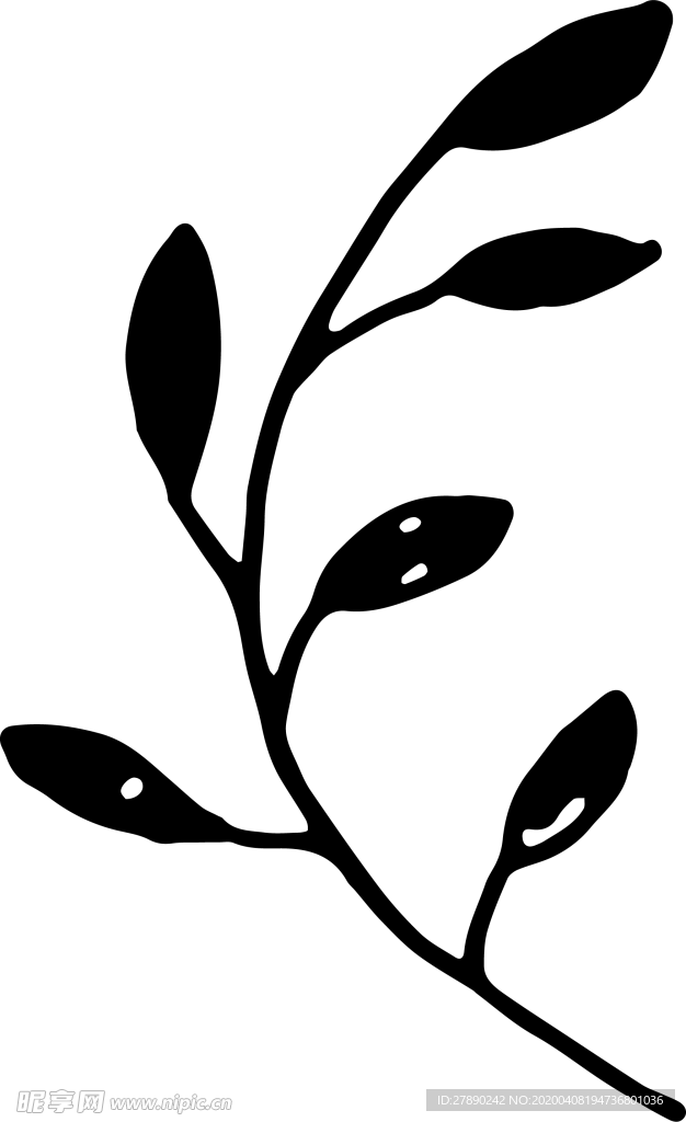 花纹