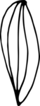 花纹