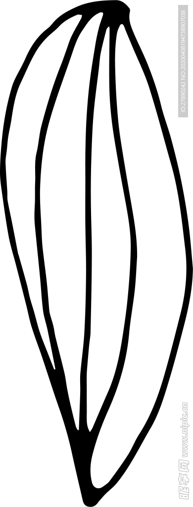 花纹