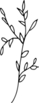 花纹